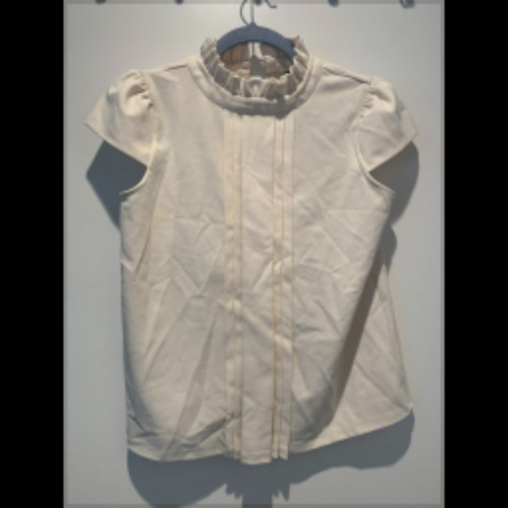 Ann Taylor Short Sleeve Business Casual Shirt